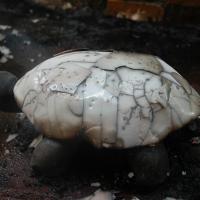 Raku nu. Stage poterie en Ardèche